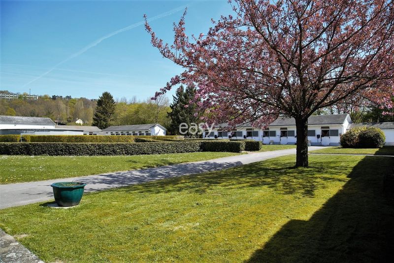 lieu de tournage avec chevaux paris